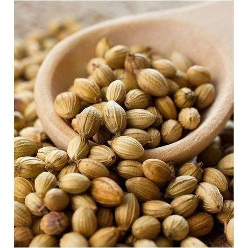  Coriander (Dhaniya) 500g